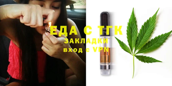 индика Беломорск