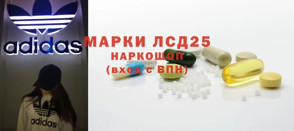 индика Беломорск