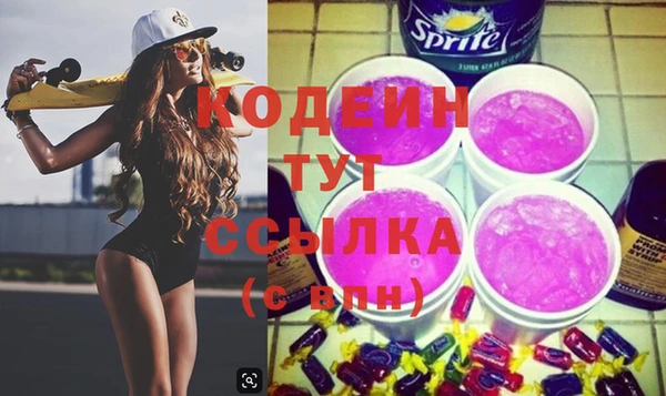 индика Беломорск