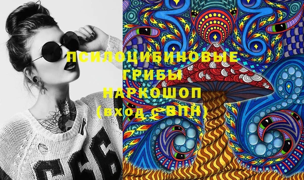 марки nbome Белокуриха