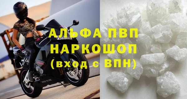 индика Беломорск