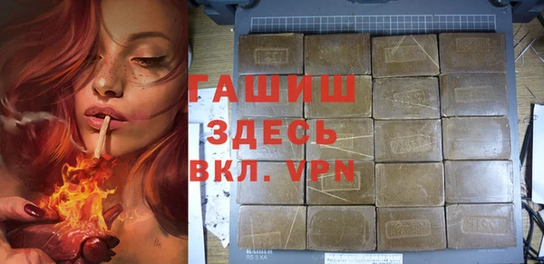 индика Беломорск