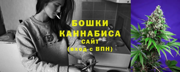 индика Беломорск