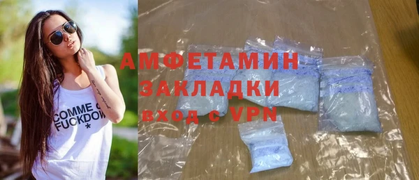индика Беломорск