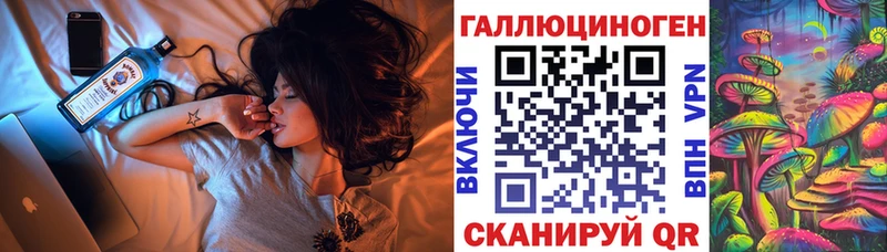 купить наркотик  Светлогорск  Галлюциногенные грибы Psilocybine cubensis 